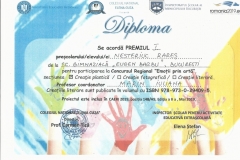Diplome obținute de elevii de la Școala Gimnazială Eugen Barbu - 2019
