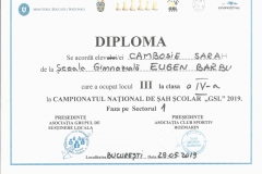 Diplome obținute de elevii de la Școala Gimnazială Eugen Barbu - 2019