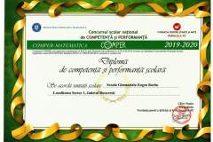 Diplome obținute de elevii de la Școala Gimnazială Eugen Barbu - 2019-2020