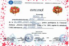 Diplome obținute de elevii de la Școala Gimnazială Eugen Barbu - 2019-2020