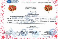 Diplome obținute de elevii de la Școala Gimnazială Eugen Barbu - 2019-2020