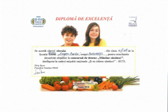 Diplome obținute de elevii de la Școala Gimnazială Eugen Barbu - 2021