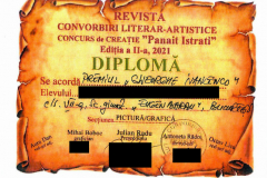 Diplome obținute de elevii de la Școala Gimnazială Eugen Barbu - 2021