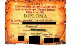 Diplome obținute de elevii de la Școala Gimnazială Eugen Barbu - 2021
