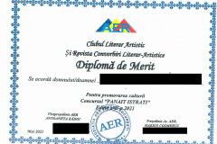 Diplome obținute de elevii de la Școala Gimnazială Eugen Barbu - 2021