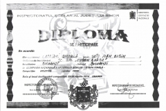 Diplome obținute de elevii de la Școala Gimnazială Eugen Barbu