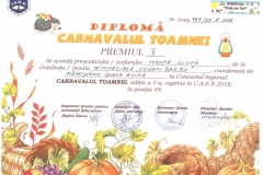 Diplome obținute de elevii de la Școala Gimnazială Eugen Barbu