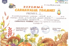 Diplome obținute de elevii de la Școala Gimnazială Eugen Barbu