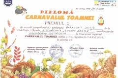 Diplome obținute de elevii de la Școala Gimnazială Eugen Barbu