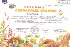 Diplome obținute de elevii de la Școala Gimnazială Eugen Barbu