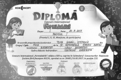 Diplome obținute de elevii de la Școala Gimnazială Eugen Barbu