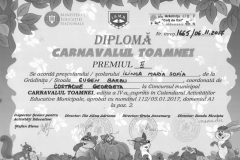 Diplome obținute de elevii de la Școala Gimnazială Eugen Barbu
