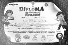 Diplome obținute de elevii de la Școala Gimnazială Eugen Barbu