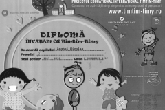 Diplome obținute de elevii de la Școala Gimnazială Eugen Barbu