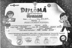 Diplome obținute de elevii de la Școala Gimnazială Eugen Barbu