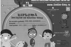 Diplome obținute de elevii de la Școala Gimnazială Eugen Barbu