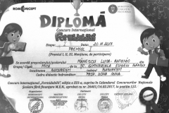 Diplome obținute de elevii de la Școala Gimnazială Eugen Barbu
