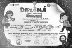 Diplome obținute de elevii de la Școala Gimnazială Eugen Barbu