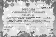 Diplome obținute de elevii de la Școala Gimnazială Eugen Barbu