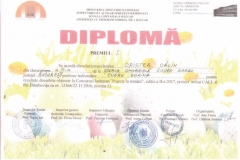 Diplome obținute de elevii de la Școala Gimnazială Eugen Barbu