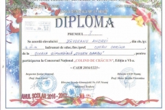 Diplome obținute de elevii de la Școala Gimnazială Eugen Barbu