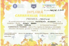 Diplome obținute de elevii de la Școala Gimnazială Eugen Barbu