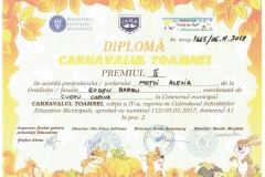 Diplome obținute de elevii de la Școala Gimnazială Eugen Barbu