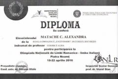 Diplome obținute de elevii de la Școala Gimnazială Eugen Barbu