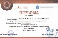 Diplome obținute de elevii de la Școala Gimnazială Eugen Barbu