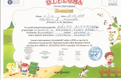 Diplome obținute de elevii de la Școala Gimnazială Eugen Barbu - 2019
