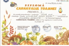 Diplome obținute de elevii de la Școala Gimnazială Eugen Barbu - 2019