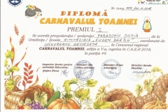 Diplome obținute de elevii de la Școala Gimnazială Eugen Barbu - 2019