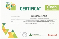Diplome obținute de elevii de la Școala Gimnazială Eugen Barbu - 2019
