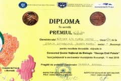 Diplome obținute de elevii de la Școala Gimnazială Eugen Barbu - 2019