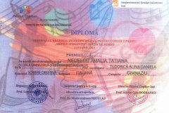 Diplome obținute de elevii de la Școala Gimnazială Eugen Barbu - 2023