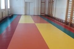 Școala Gimnazială Eugen Barbu